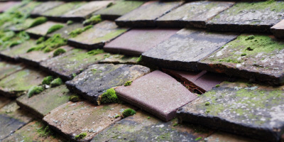 Codrington roof repair costs